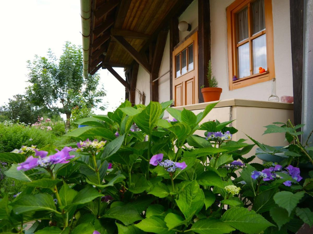 Selanka Off Road Hill View Hotel Moravske Lieskove ภายนอก รูปภาพ