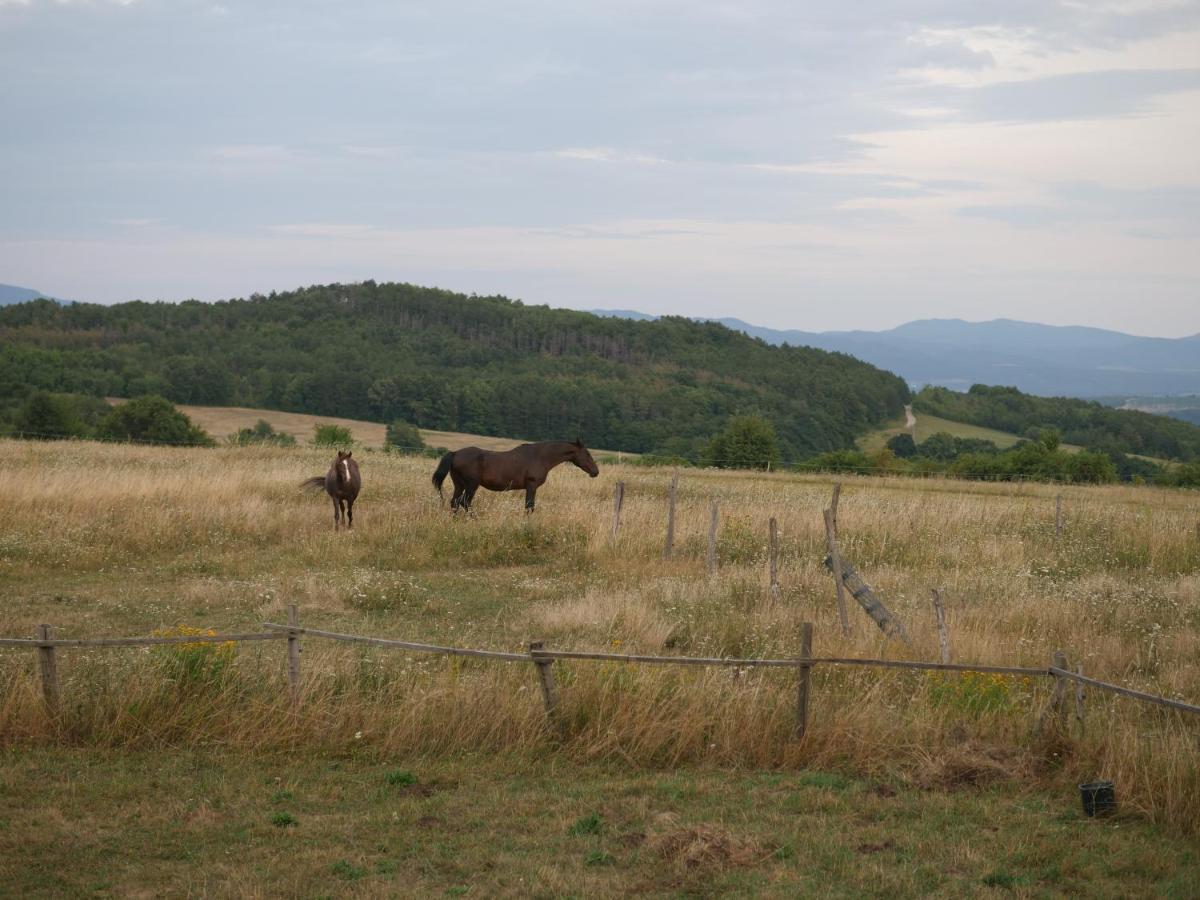 Selanka Off Road Hill View Hotel Moravske Lieskove ภายนอก รูปภาพ